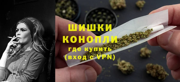 индика Грязи