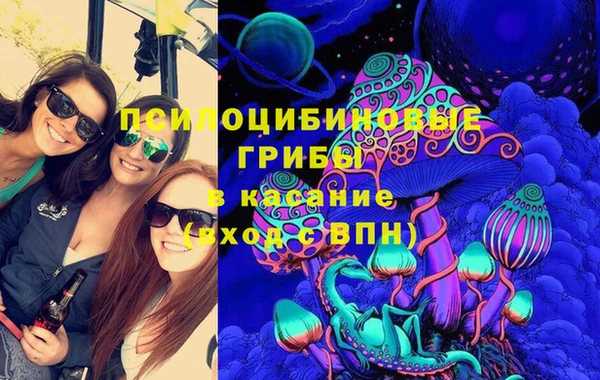 Альфа ПВП Алзамай
