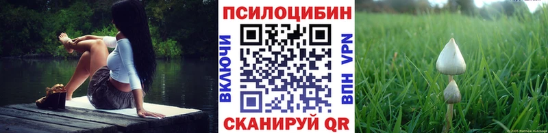 Псилоцибиновые грибы Psilocybine cubensis  Шуя 