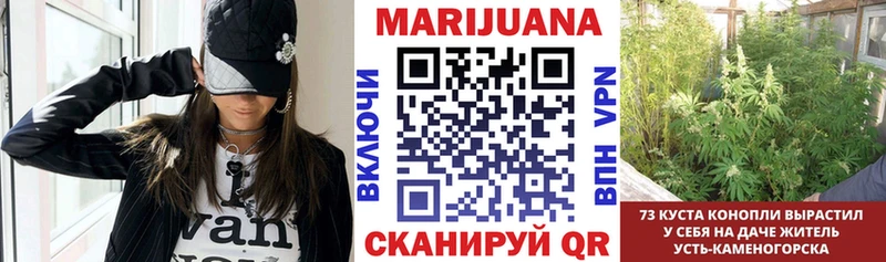 Марихуана марихуана  продажа наркотиков  Шуя 